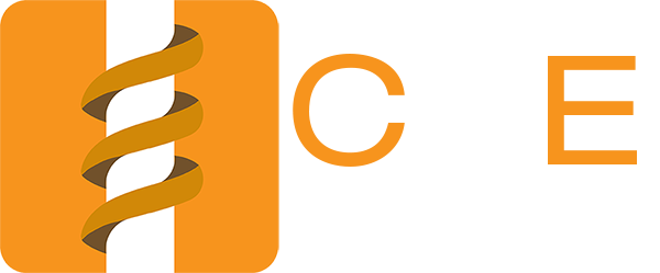 CE Underground Solutions